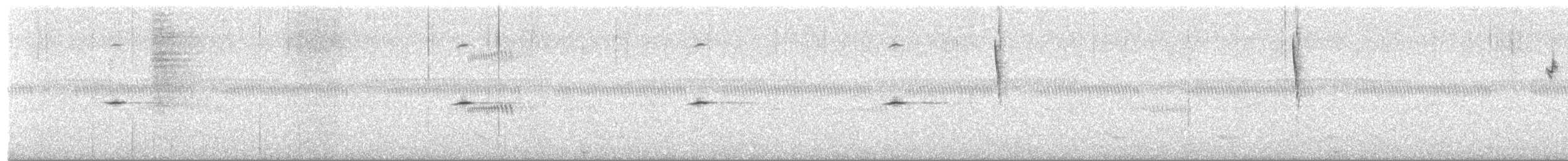 Широкохвіст африканський - ML653002410