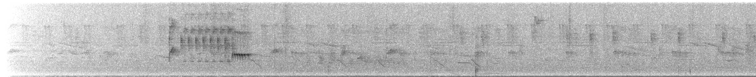 Wedge-tailed Sabrewing (Curve-winged) - ML653014226