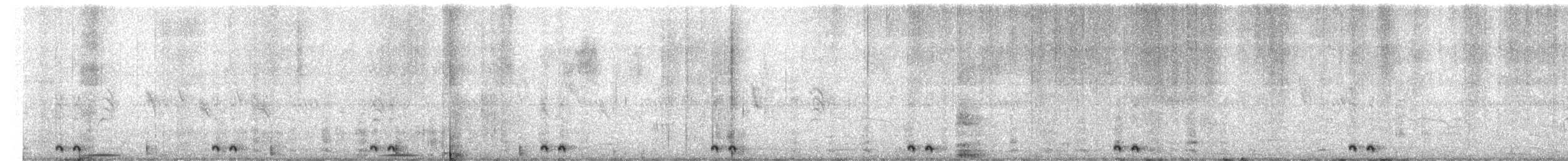 Black Coucal - ML653017932