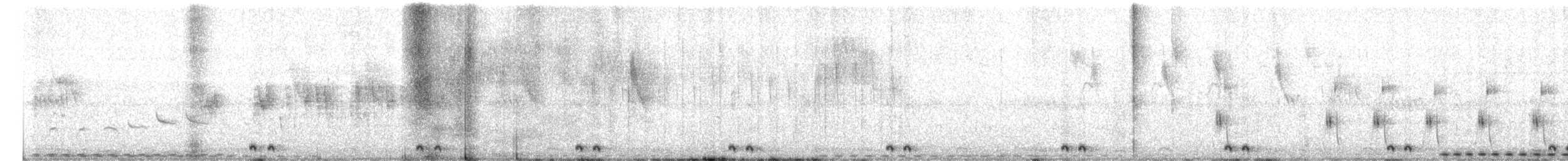 Black Coucal - ML653017933