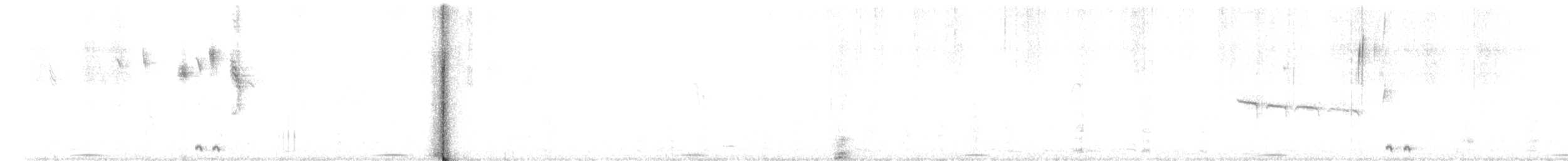 Black Coucal - ML653017934