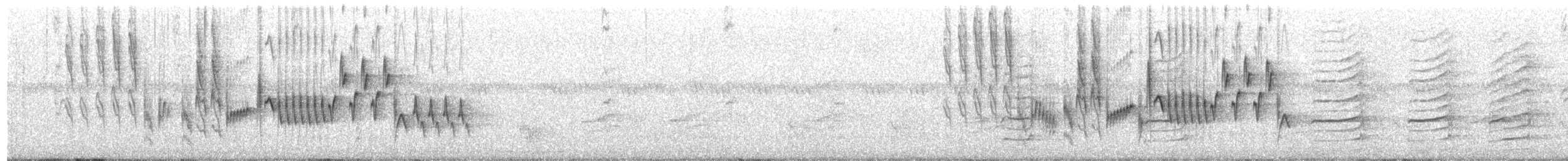 Northern House Wren - ML653058882