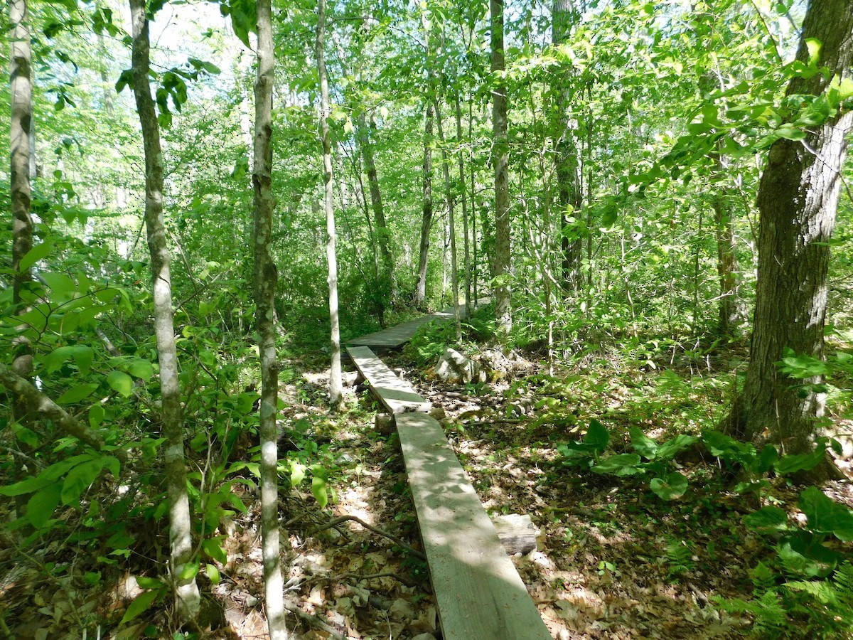 null - ML653064930