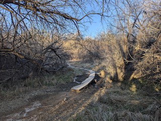 Kindred Reserve Open Space, Mesa, Colorado, United States - eBird Hotspot