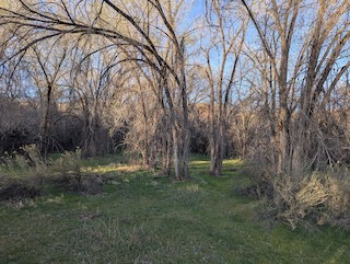 Kindred Reserve Open Space, Mesa, Colorado, United States - eBird Hotspot