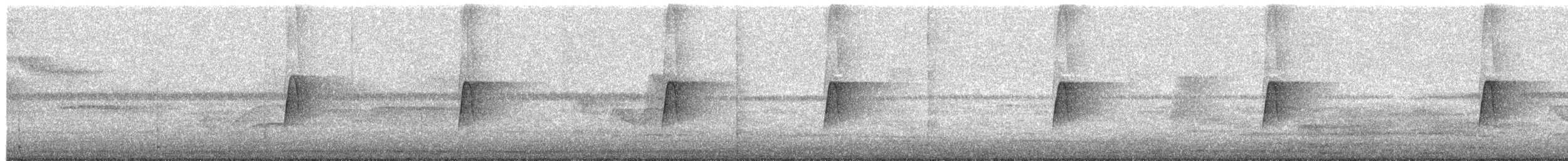 חטפית ירקרקה - ML653146215