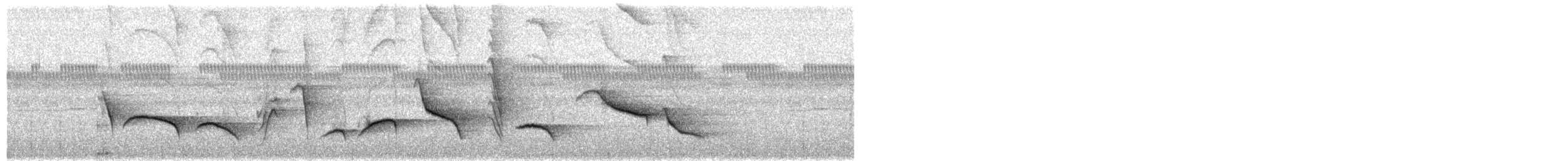 Mottled Berryhunter - ML653166577