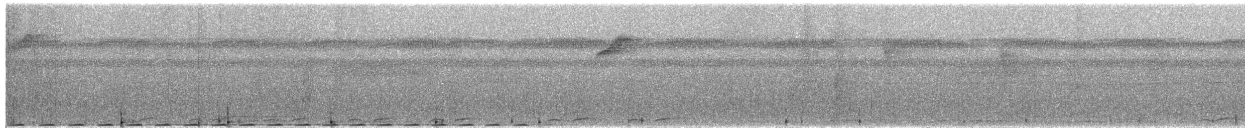 Biak Coucal - ML653166649