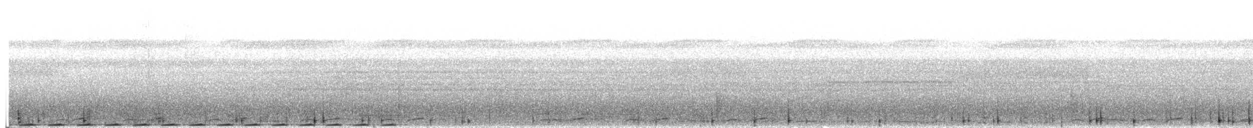 Biak Coucal - ML653166650