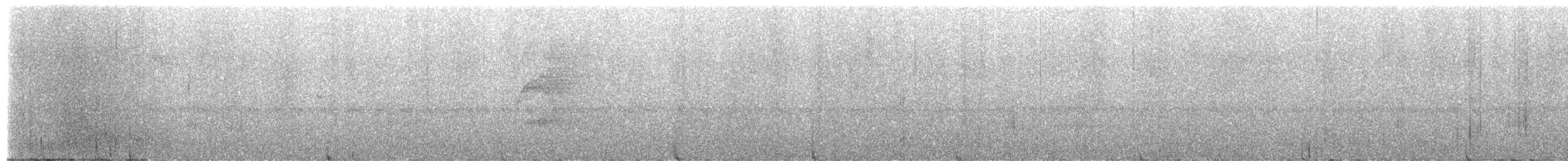 Large-tailed Antshrike - ML653195884