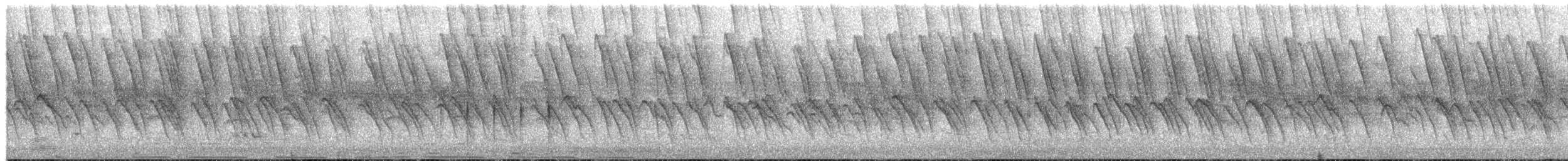 Black-and-white Mannikin - ML653230946