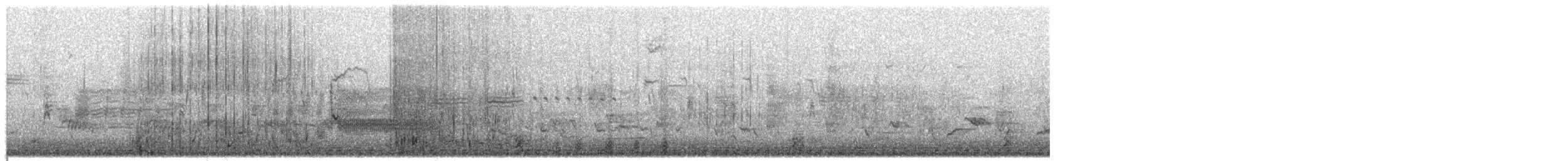 Bufflehead - ML653235780