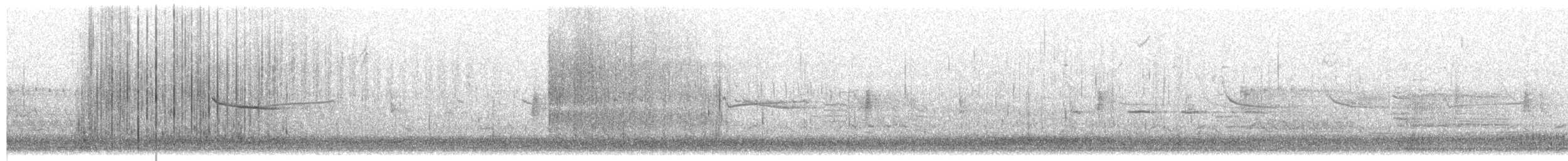 Bufflehead - ML653235783