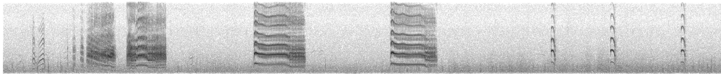 rybák obecný - ML653283344