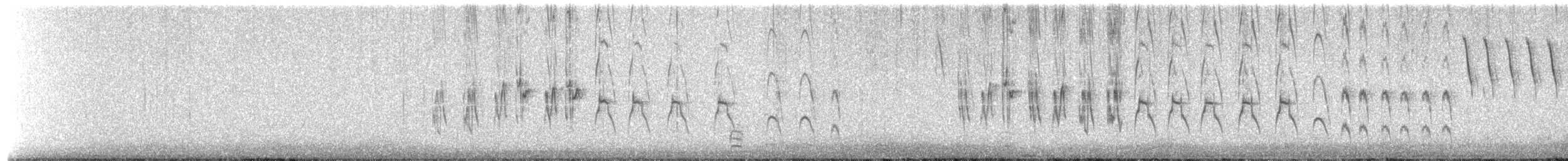 Chirigüe Culigualdo - ML653305185