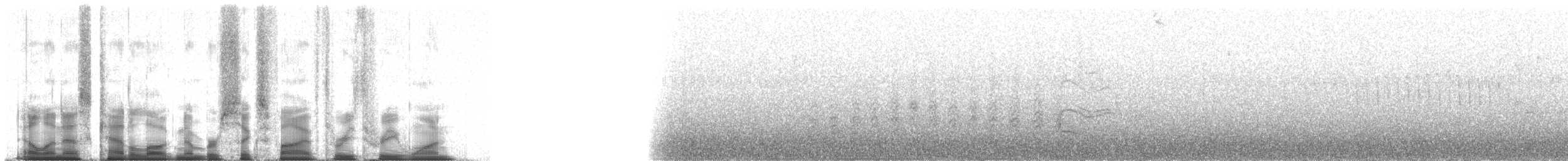Toucan à capuchon - ML65331