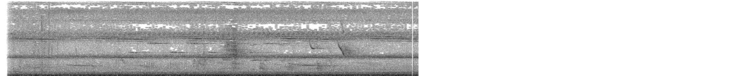 Forest Wagtail - ML653335731