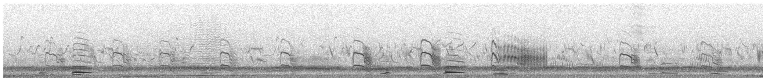 rybák obecný - ML653345790