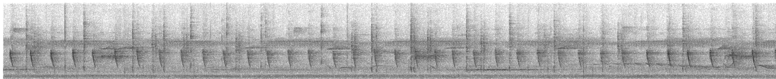 Wedge-tailed Sabrewing - ML653360343