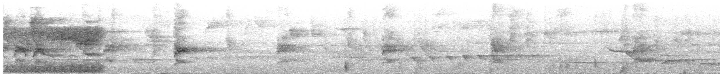 Western Woodhaunter - ML653402467