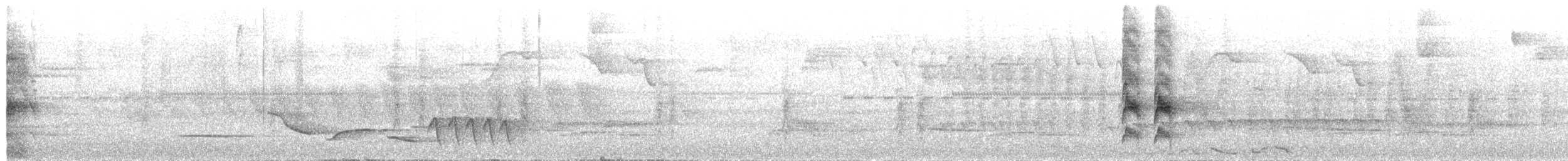 Western Woodhaunter - ML653402468