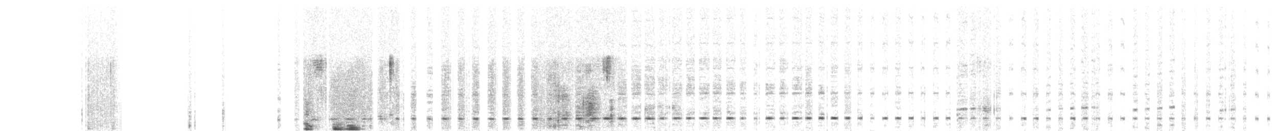 Short-tailed Antthrush - ML653406290