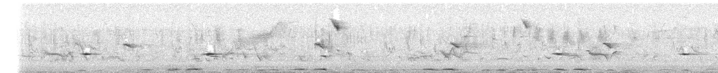 Широкохвіст африканський - ML653421419