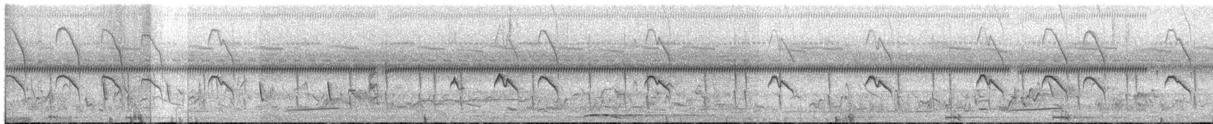 Black-and-white Mannikin - ML653433396