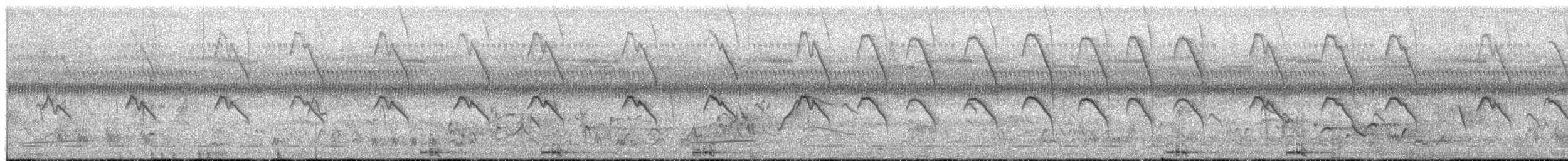 Black-and-white Mannikin - ML653433406