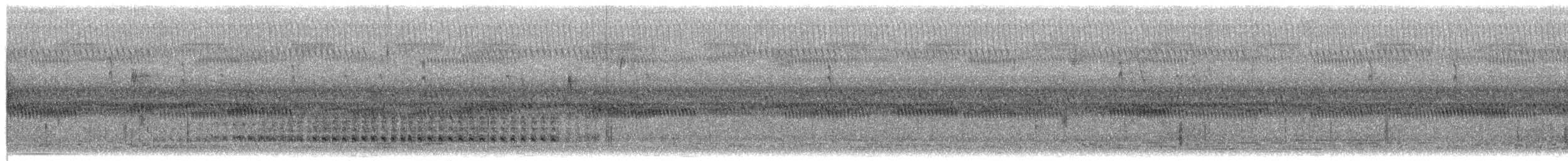 Шиферный коростелёк (jamaicensis/coturniculus) - ML653440480