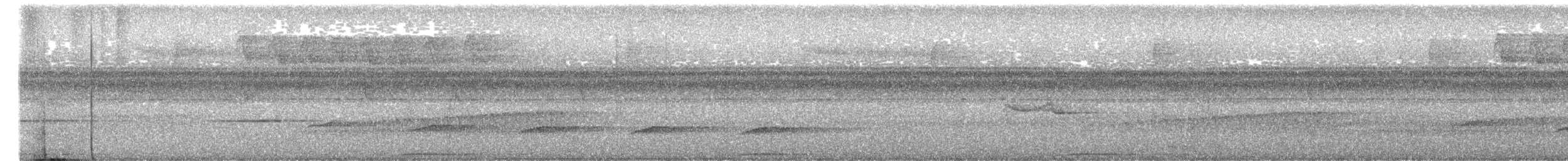 Brandtaube - ML653470901