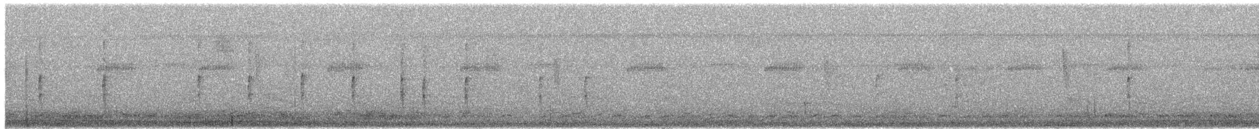 Wedge-tailed Sabrewing (Wedge-tailed) - ML653494440