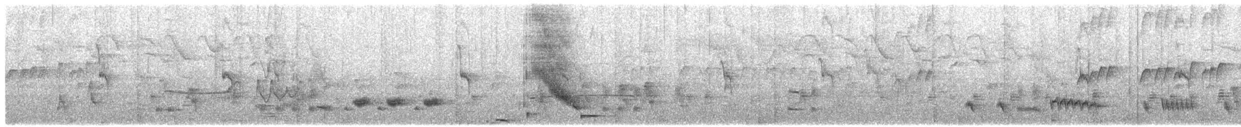 brunoropendola - ML653497977