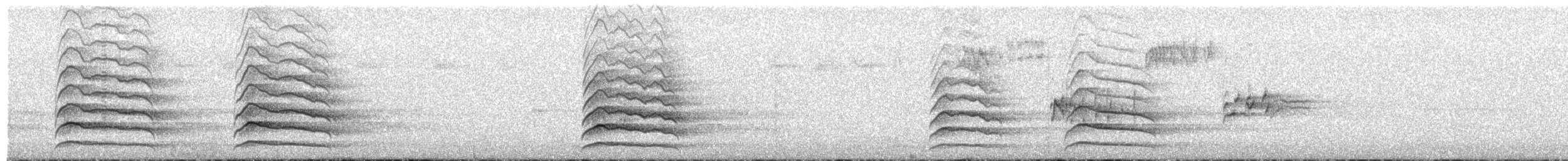 musvåk (rothschildi) - ML653499505