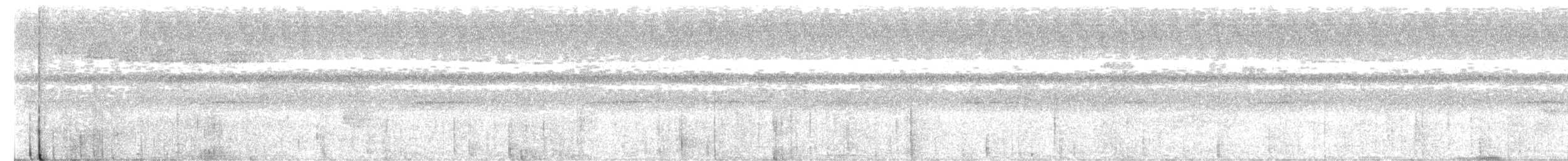 Brandtaube - ML653522470