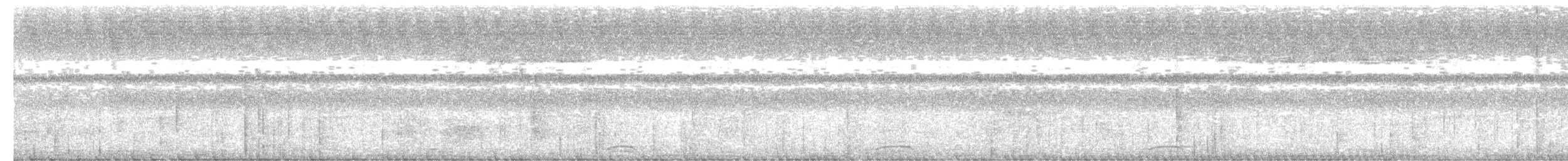 Brandtaube - ML653522471