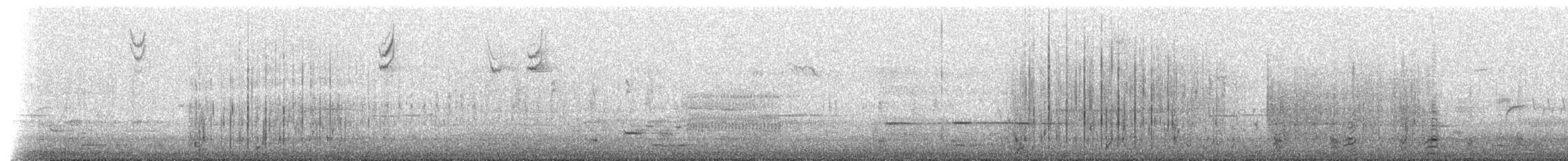 Bufflehead - ML653522488