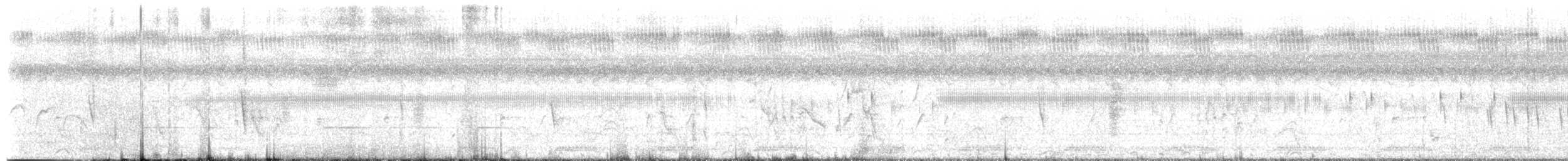 Dwarf Bittern - ML653540939