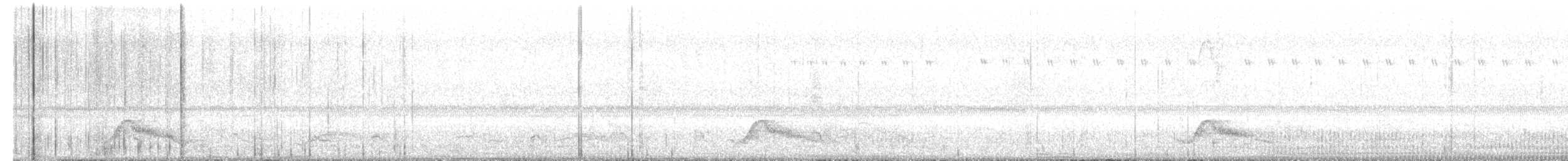 Common Pauraque - ML653546021