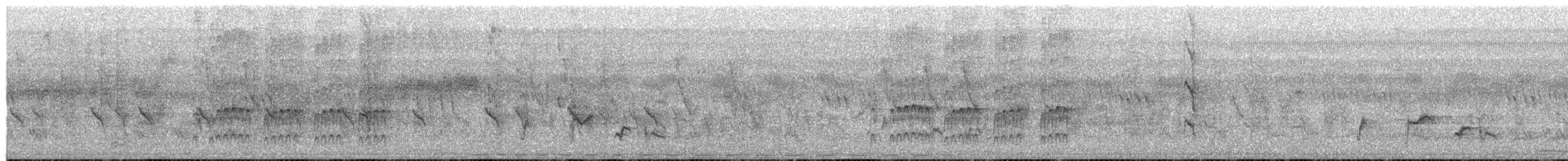 Speckle-breasted Woodpecker - ML653553698