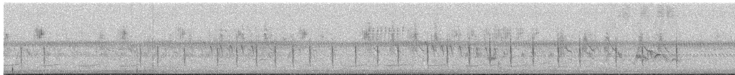 Широкохвіст африканський - ML653559805
