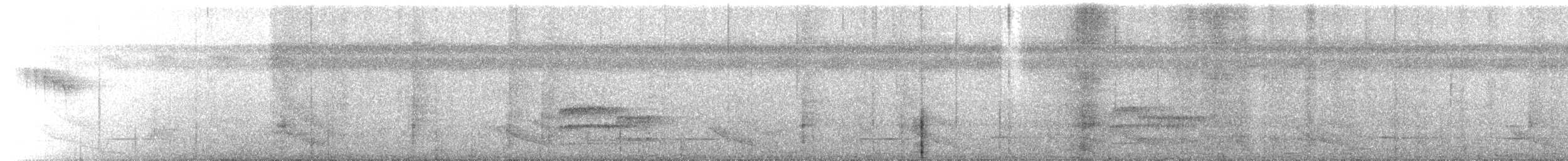 チャバラヒメアリサザイ - ML653560959