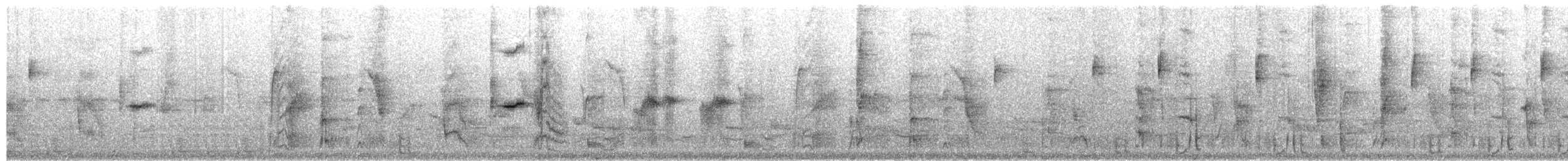 Wedge-tailed Sabrewing - ML653579387