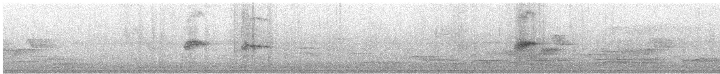 Wedge-tailed Sabrewing - ML653580614