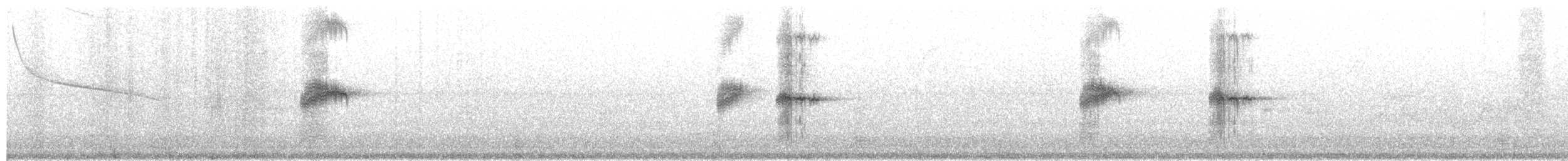 Wedge-tailed Sabrewing - ML653580625