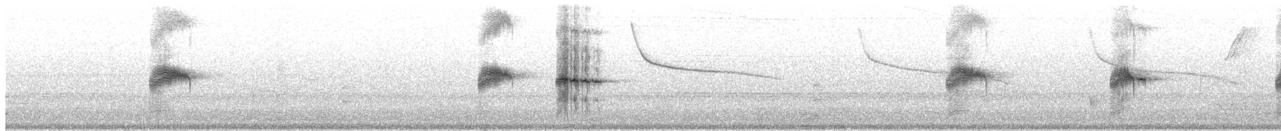 Wedge-tailed Sabrewing - ML653580662