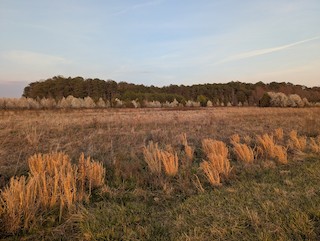 Beltsville Agricultural Research Center, Prince George's, Maryland ...