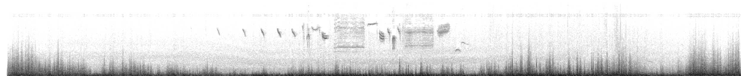 Chingolo Sabanero (rostratus/atratus) - ML653631043