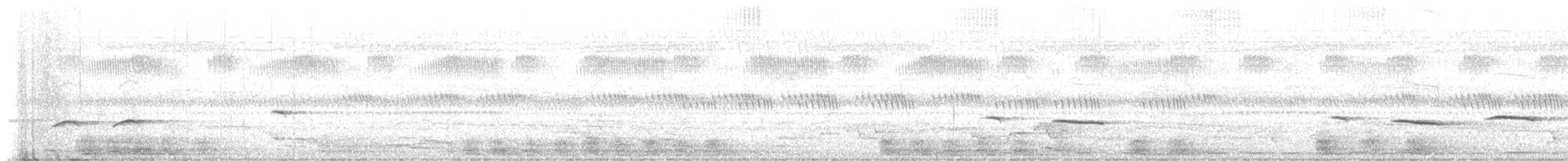 Bearded Scrub-Robin - ML653674081