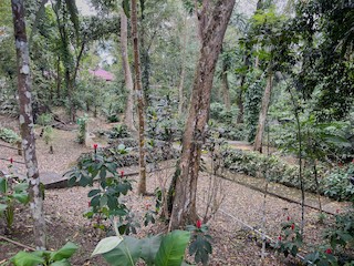 Makiling Botanic Garden, Los Baños, Laguna, Philippines - eBird Hotspot